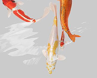 B站高能电玩节高能来袭！9月23日独家资讯首曝 免费试玩最新游戏